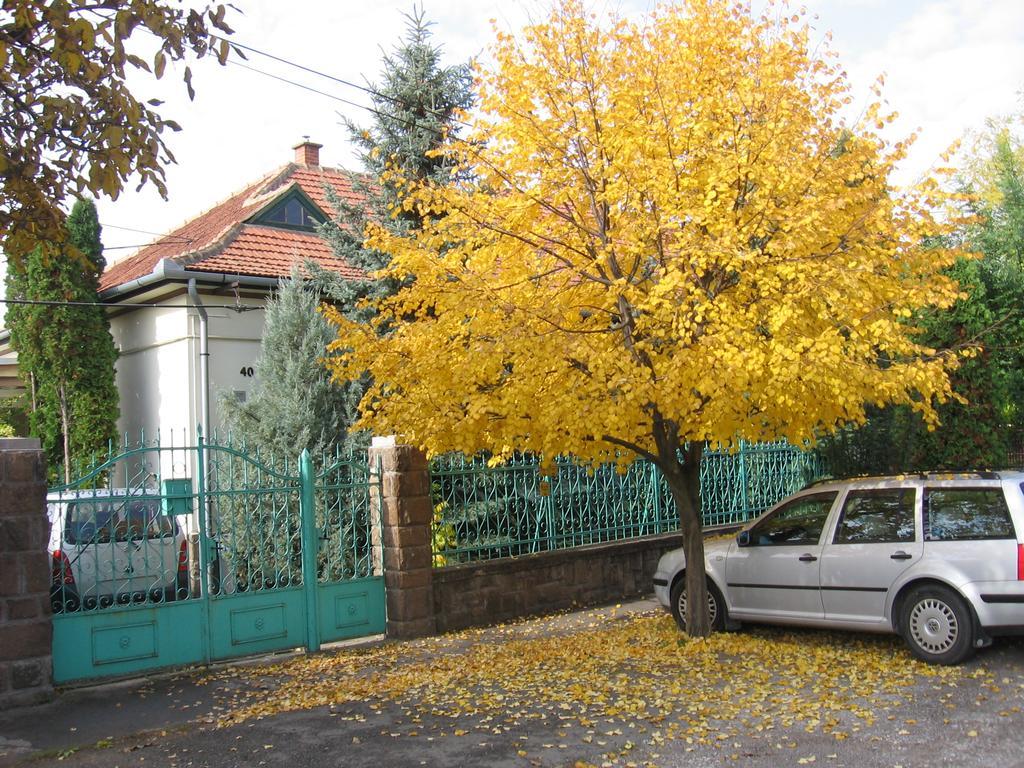 Csaladi Vendeghaz Appartement Eger Buitenkant foto